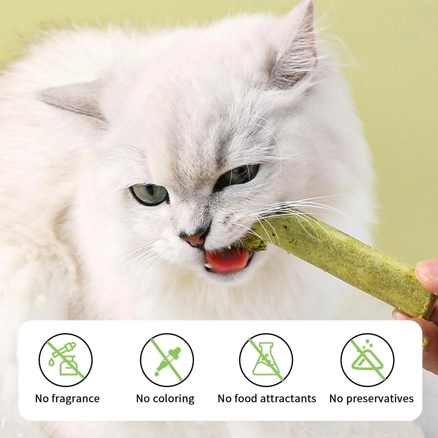 PurrHealth  | Grass sticks