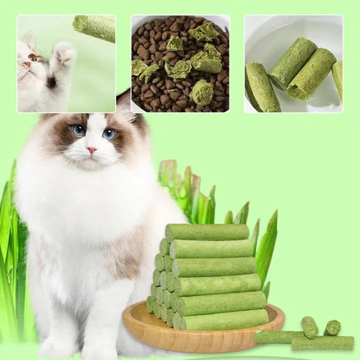 PurrHealth | Grass sticks