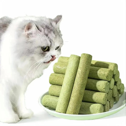 PurrHealth  | Grass sticks